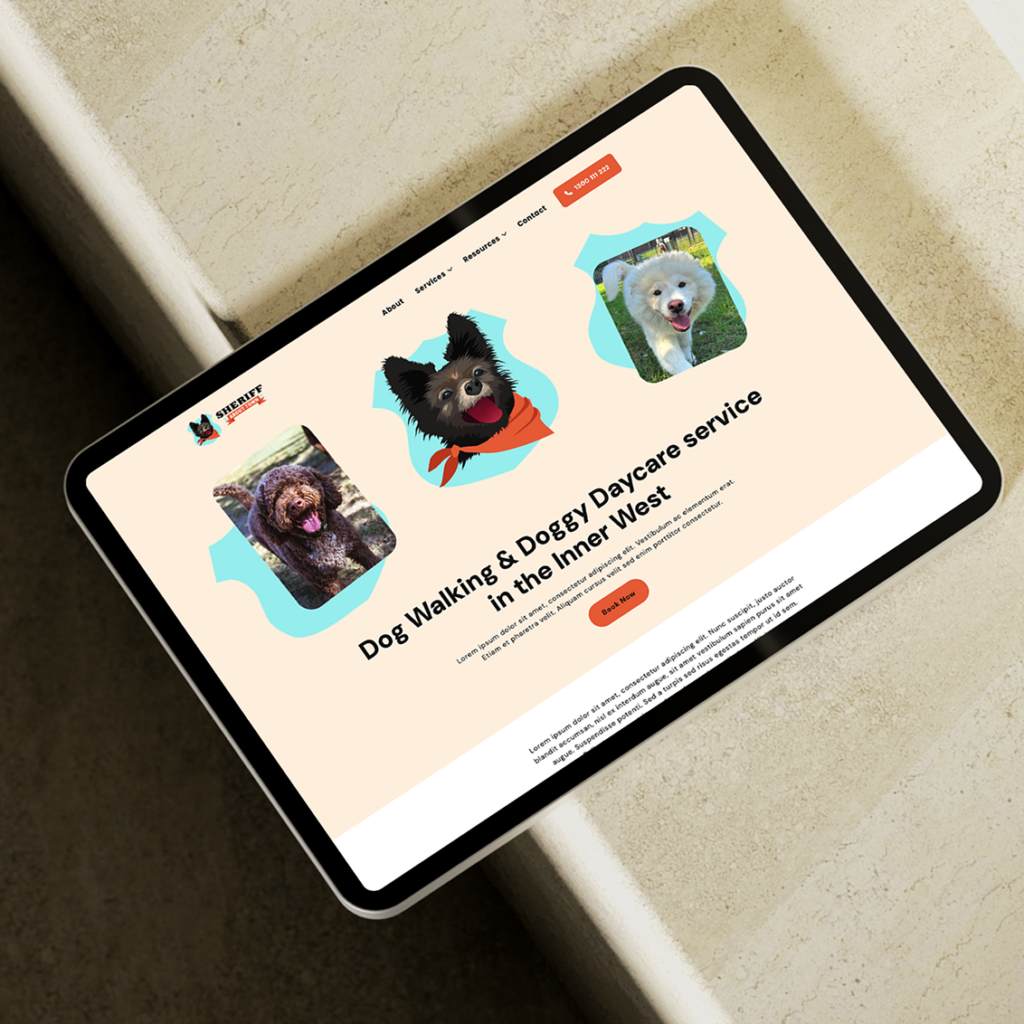 Small business website design packages