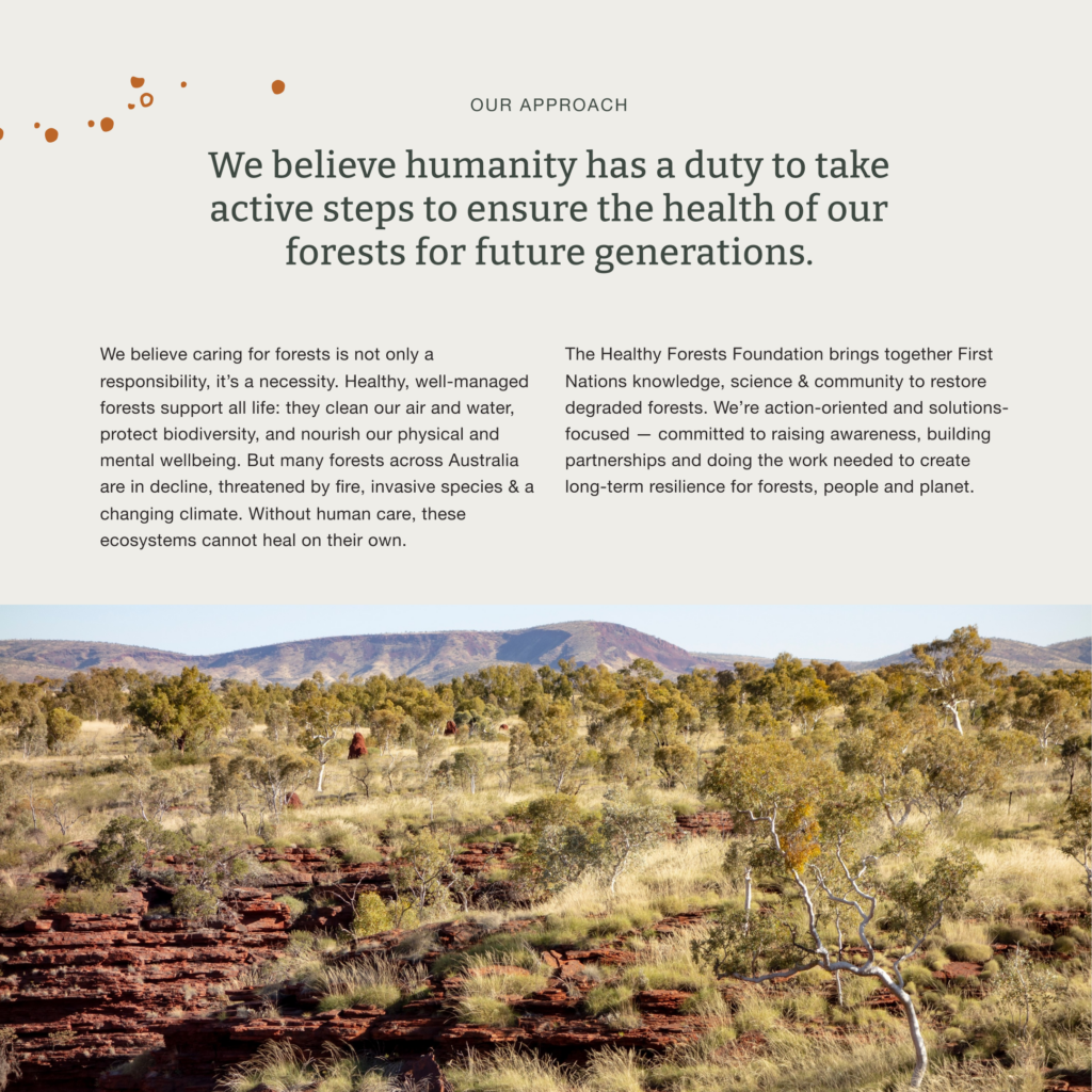 Humanity has a duty to take active steps to ensure the health of our forests in Australia - NFP website design and development