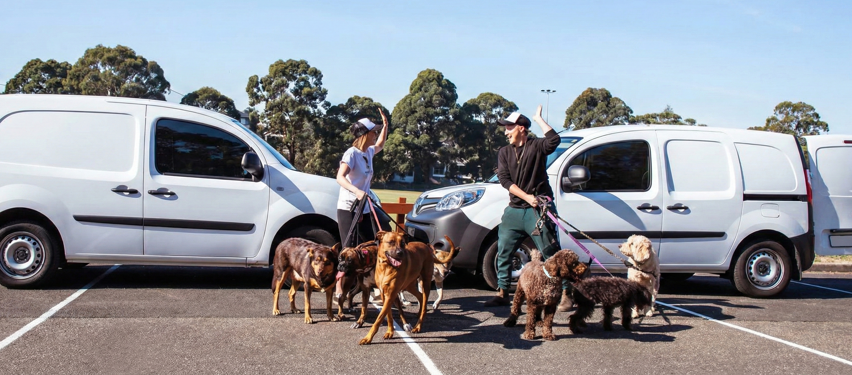 Non profit organisations and SMEs are getting thier website through Studio Web Design