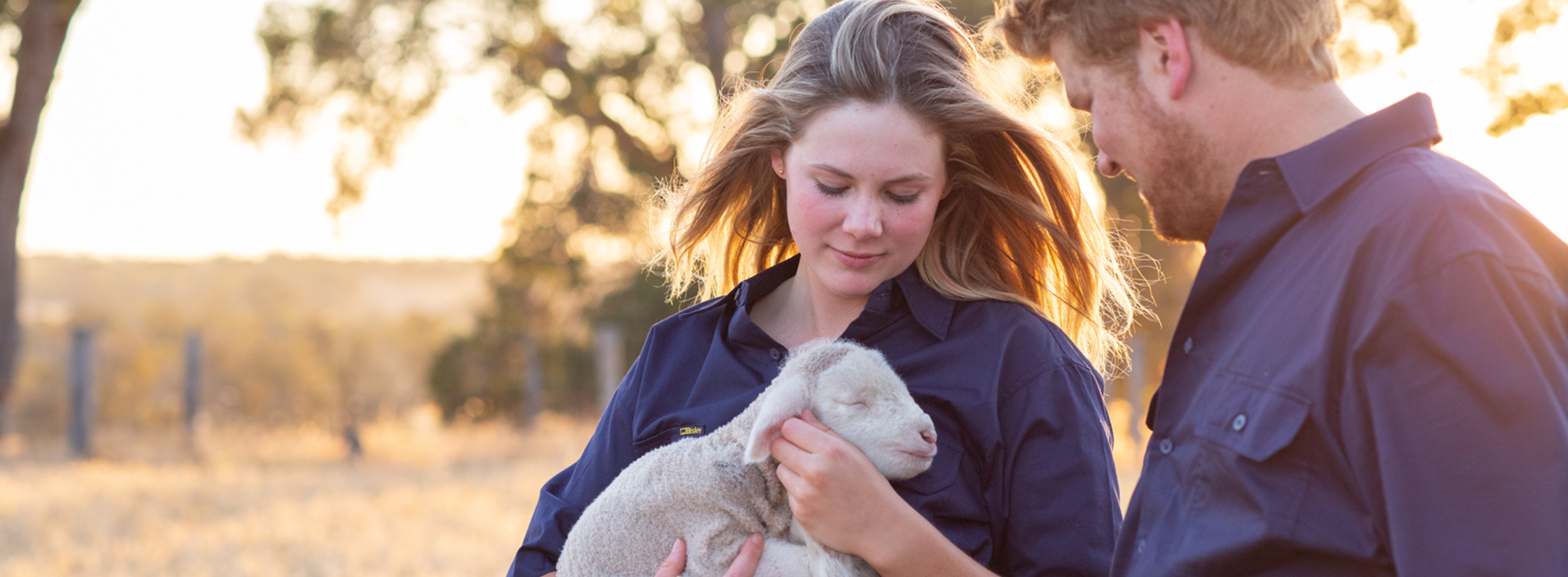 Website design for NFPs by Studio Web Design